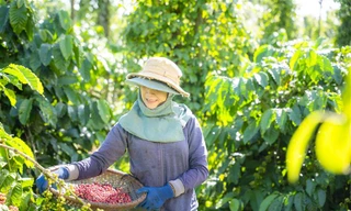 Nestlé tiên phong lan tỏa thói quen tiêu dùng xanh, hướng tới tương lai phát triển bền vững