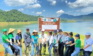 Manulife góp trồng 4,000 cây xanh tại khu bảo tồn quốc gia Xuân Liên