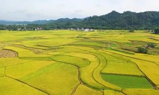 Tràng Định – vẻ đẹp nguyên sơ, trải nghiệm chân thực 