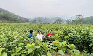 Huyện Bảo Yên, Lào Cai phấn đấu 5 xã đạt chuẩn nông thôn mới trong năm 2024