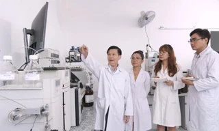 Chuyển giao công nghệ ứng dụng hoạt chất Caryotin vào Khương Thảo Đan Gold