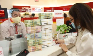 HDBank và Proparco dành 50 triệu đô-la phát triển các dự án xanh tại Việt Nam