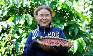 Nestlé Việt Nam góp phần nâng cao vai trò của phụ nữ trong toàn chuỗi cung ứng