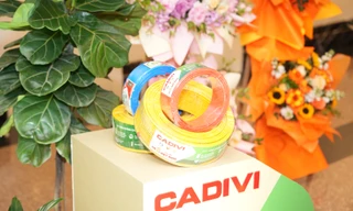 Doanh nghiệp ‘gà đẻ trứng’ của GELEX phát triển mạnh sản phẩm xanh