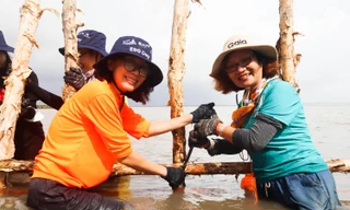 BAT Việt Nam hợp tác cùng Gaia thực hiện các dự án trồng rừng tại Cà Mau và Đồng Nai 