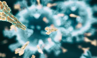 Tăng kháng thể IgA, hỗ trợ bảo vệ sức khoẻ trong mùa dịch