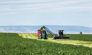 Bên trong nông trại hữu cơ làm nên những sản phẩm Amway chất lượng