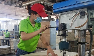 EVFTA có đem lại "cú nhảy vọt" về ưu đãi thuế cho ngành gỗ Việt Nam?