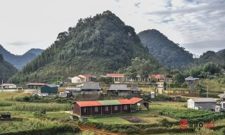 Ngôi trường đặc biệt chỉ 'tuyển' thầy giáo ở Thanh Hóa