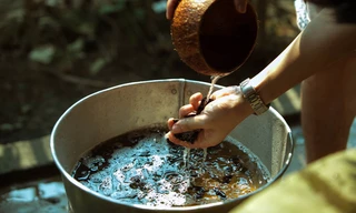 Thạc sĩ dược học Nguyễn Thị Hương Liên và hành trình đưa nồi nước lá mẹ nấu ra thế giới