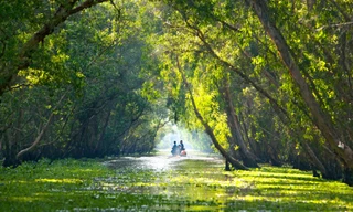  “Báu vật xanh” giữa lòng miền Tây