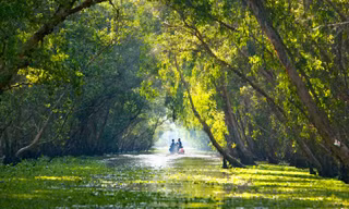  “Báu vật xanh” giữa lòng miền Tây