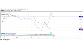 Vinamilk sắp trả cổ tức cao bằng tiền mặt, thu hút sự quan tâm của nhà đầu tư