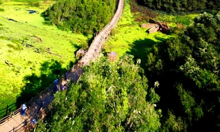 Trong hành trình du xuân về vùng Bảy Núi, rừng Tràm Trà Sư đã đón gần 40.000 lượt du khách đổ về cùng thản bước trên cây cầu tre dài nhất Việt Nam