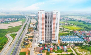 Shark Phạm Thanh Hưng: 'Bất động sản Việt Nam sắp chạm giai đoạn vàng'