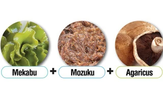 Món quà tuyệt vời từ tảo nâu Okinawa Mozuku đối với sức khỏe con người