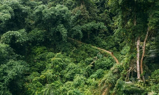 Giải chạy siêu địa hình ba bể Jungle Marathon 2021