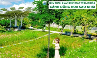 Hấp lực Thảo nguyên điện xanh những ngày đầu năm mới 2023