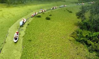 Có một Trà Sư thật lạ trong mắt ai