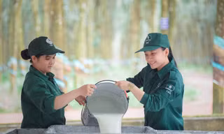 Tập đoàn Công nghiệp Cao su Việt Nam: Tăng tốc phát triển, tối ưu nguồn lực