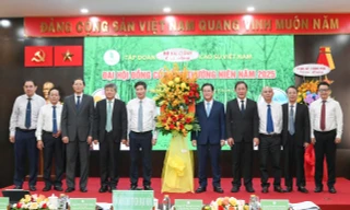 Tập đoàn Công nghiệp Cao su Việt Nam chia cổ tức 1.600 tỷ đồng 