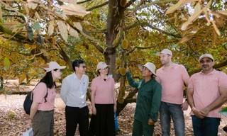 Cung cấp giải pháp canh tác bền vững, nâng cao vai trò phụ nữ