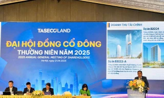 Đại hội cổ đông Taseco Land năm 2025: Đặt nền móng cho chu kỳ tăng trưởng mới