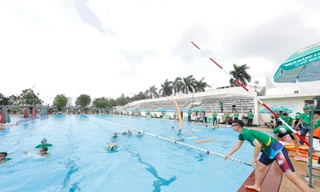 Nestlé MILO đồng hành cùng Tổng cục TDTT phát động toàn dân tập luyện môn bơi và chống đuối nước