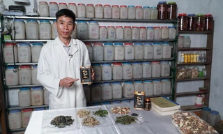 Sự kết hợp tinh túy giữa y học cổ truyền và y học hiện đại trong điều trị sỏi thận