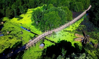 Cầu tre Trà Sư sử dụng trên 500.000 cây tre làm vật liệu để xây dựng