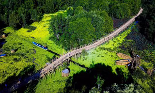 Cầu tre Trà Sư sử dụng trên 500.000 cây tre làm vật liệu để xây dựng