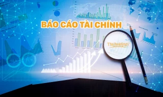 Thaiholdings lãi trước thuế hơn 100 tỷ đồng từ thoái vốn các khoản đầu tư