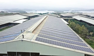 Từ nông nghiệp công nghệ cao đến trung hòa carbon: TH true MILK chia sẻ mô hình chuyển đổi xanh tại P4G