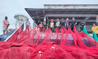 Cà Mau: Tiến tới chấm dứt hành vi khai thác 'tận diệt'