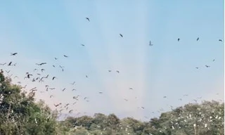 Du lịch chăm sóc sức khỏe