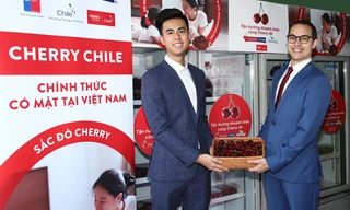 Cherry Chile lần đầu được nhập khẩu vào Việt Nam