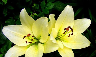 Tuần mới của bạn (23/4-29/4)