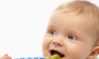 Dinh dưỡng cơ bản cho bé 2 tuổi phát triển toàn diện