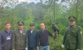 Đại bàng đen quý hiếm được thả về rừng ở Huế