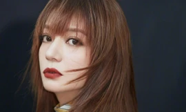 Sai lầm khiến Triệu Vy đóng băng hết tài sản