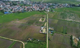Hà Nội: 169 khu đất không đủ điều kiện thí điểm nhà ở thương mại thông qua thỏa thuận