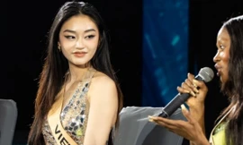 Đại diện Việt Nam ấp úng khi đối đáp với ông Nawat