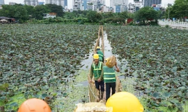 Công nhân tất bật nắn dòng tạo hồ lắng để bổ cập nước hồ Tây