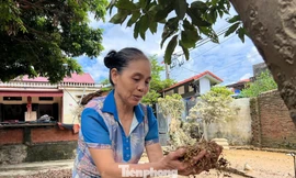 Hà Nội sau ngập sâu: Trung Giã lầy lội bùn đất, điện nước chưa 'hồi sinh'