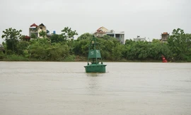 Mực nước sông Trà Lý, sông Hồng dâng cao từng giờ, người dân Hưng Yên đắp bờ chống ngập