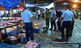 Hà Nội: Phát hiện 5 đối tượng mua bán, vận chuyển, tiêu thụ lợn chết, lợn bệnh