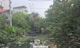 Cư dân phường đông dân nhất Thủ đô khốn khổ vì dòng kênh ngập rác 