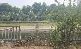 Hà Nội 'thúc' tiến độ hoàn trả lan can, hè phố, kè sông Tô Lịch