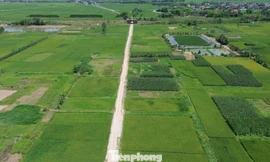 Hà Nội: Cử tri kiến nghị 'nới' quy định về tách thửa 