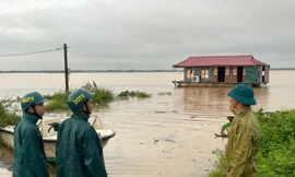 Nước sông Hồng lên cao, Hà Nội vận động dân rời thuyền lên bờ